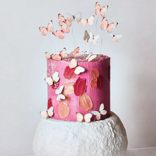 Butterfly Effect Cake